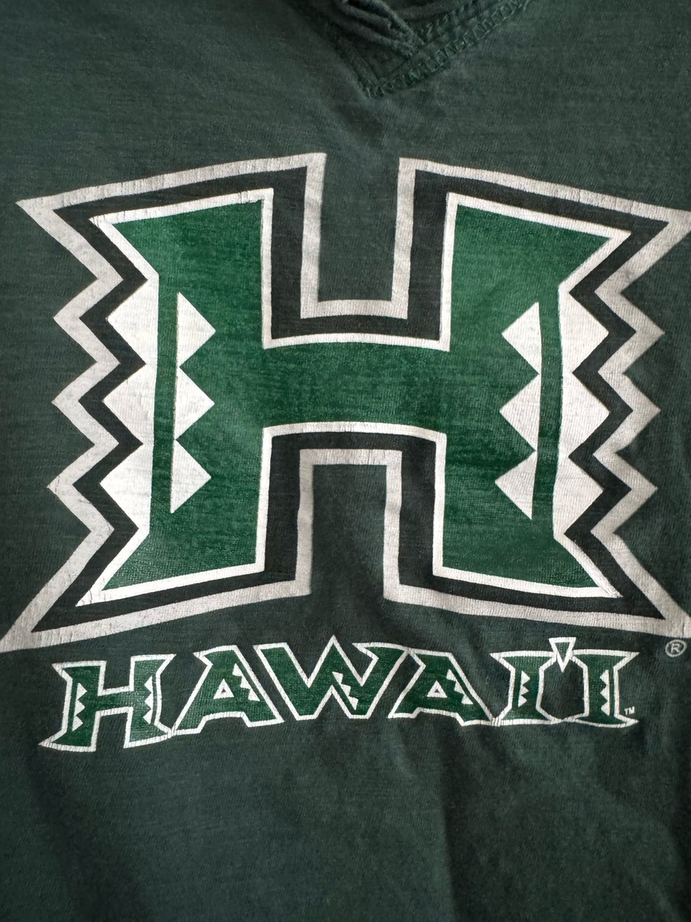 Green Hawaii Logo V-Neck Tee. Size: Large - Picture 3 of 5